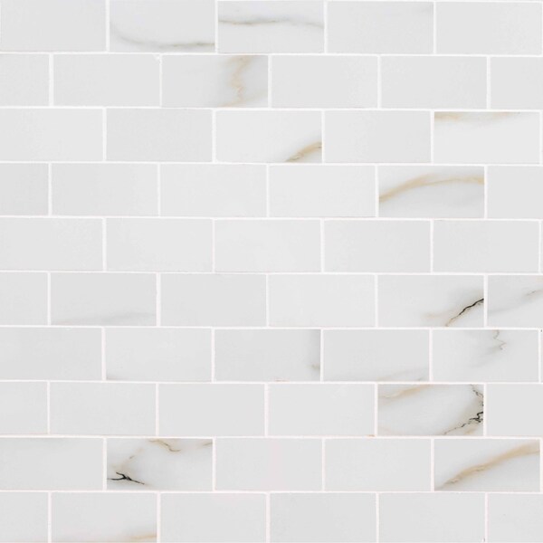 Aria Bianco 2 In. X 4 In. Polished Porcelain Mesh-Mounted Mosaic Tile, 8PK